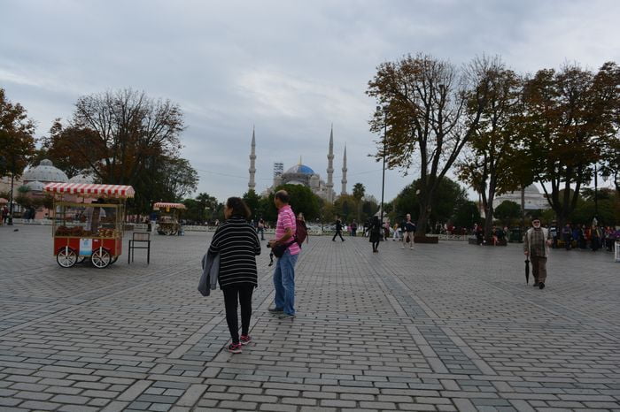 Run and flee to this human nature