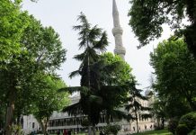 Unveiling the Exterior Treasury