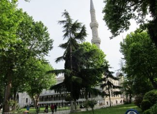 Unveiling the Exterior Treasury